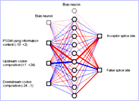 Sequence analysis program