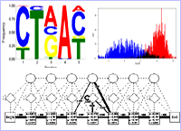Sequence analysis software